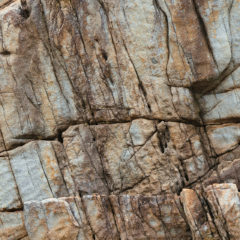 あなたが持つ古着のイメージ「高い？安い？」