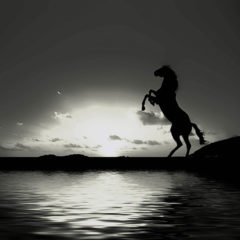 奥深い『ラルフローレン』の世界と歴史