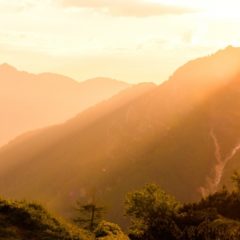 昔ながらの高性能『60/40クロス』